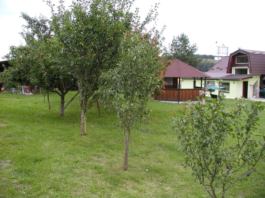 Penzion Drevenik Hotel Spisske Podhradie Exterior photo